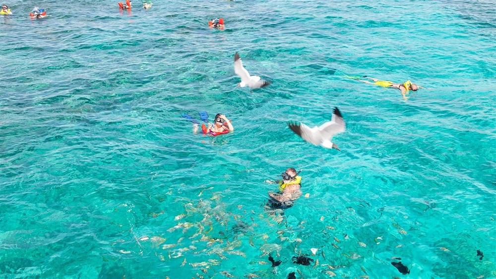 The Marlin At Taino Beach Resort フリーポート エクステリア 写真